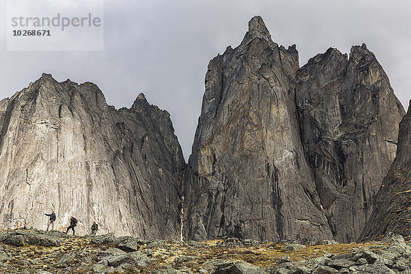 Berg frontal wandern Yukon Grabstein Revierverhalten