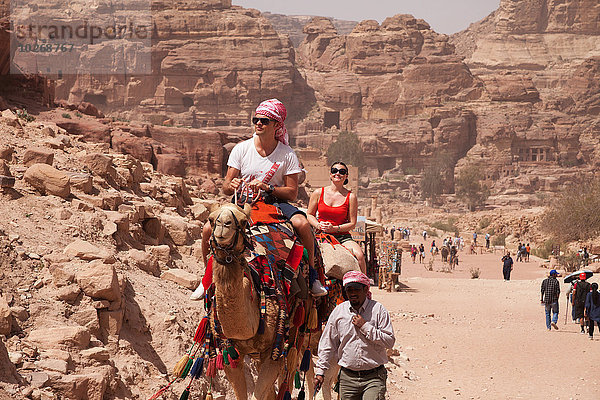 Straße Tourist Kamel Petra