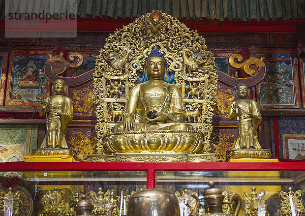 Geschenk zeigen Museum Statue Lama Lama buanicoe glama Buddha Mongolei