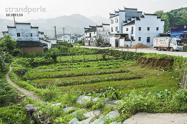 nahe Tradition Gebäude klein Architektur chinesisch Pflanze Dorf Feld anpflanzen China