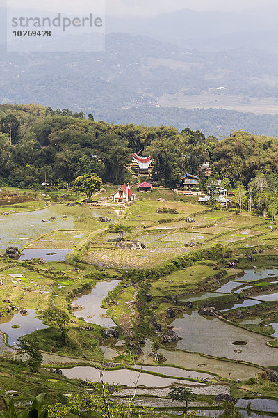 Tradition Gebäude Feld Reis Reiskorn Indonesien