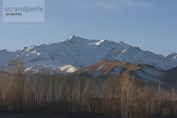 Berg Baum Tal Ignoranz bedecken Hinduismus Afghanistan Pappel Schnee