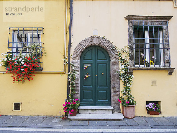 Fenster Blume Tür Dekoration Frühling Italien Lucca Reben