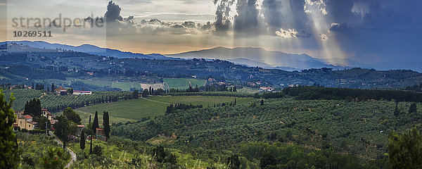 Sonnenstrahl Wolke über Weinberg Florenz Italien