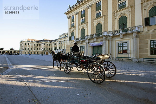 Palast Schloß Schlösser Hackney 2 Hackney Carriage Black Cab Transport Schloss Schönbrunn Österreich