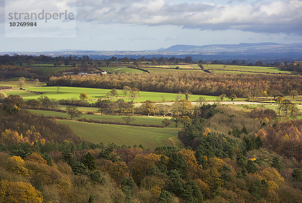 Landschaft Fluss Herbst England North Yorkshire