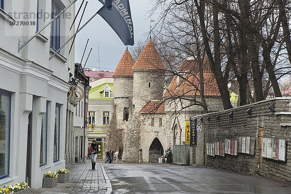 Tallinn Hauptstadt Mensch Menschen frontal Eingang Estland