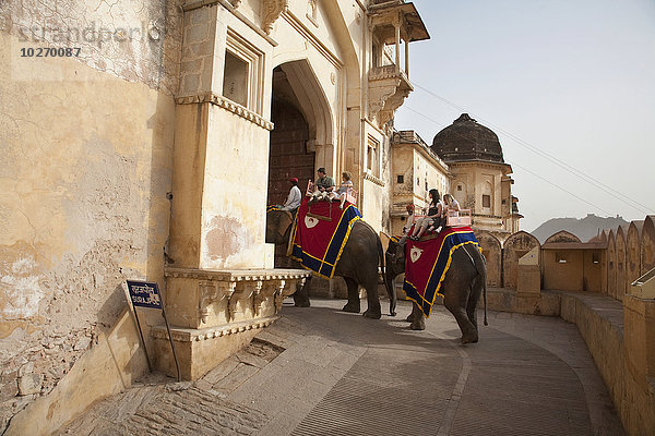 nehmen fahren Tourist Elefant Festung übergeben Bernstein Indien Rajasthan mitfahren