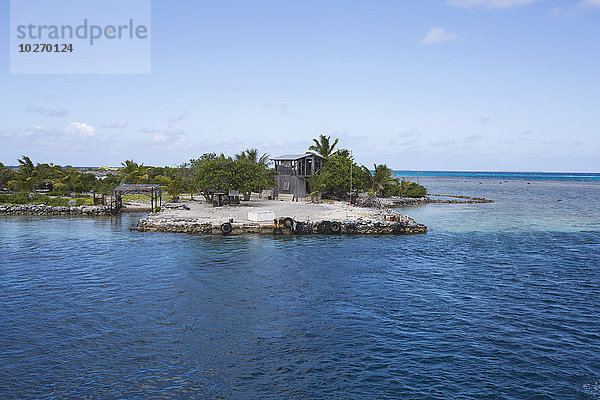 Wasserrand Tropisch Tropen subtropisch Baum Boot Dock Insel vorwärts Tahiti