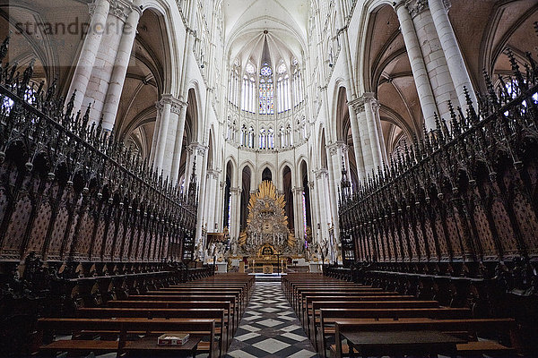 Messestand Frankreich Kathedrale Eiche Amiens Somme