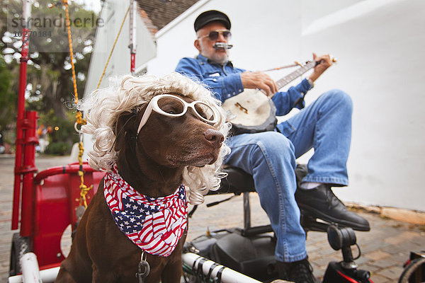 Mundharmonika Senior Senioren Amerika Straße Hund zeigen Fahne amerikanisch Fokus auf den Vordergrund Fokus auf dem Vordergrund Kopftuch Kleidung Verbindung Bandana Banjo Florida spielen Perücke