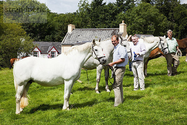 Männer stehen mit ihren weißen Pferden auf der Wiese für die Pferdeschau; Kilgarvan  Grafschaft Kerry  Irland