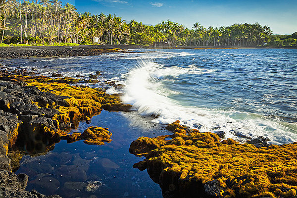 Wasserrand bedecken Amerika Strand Baum schwarz Vulkan Braunalge Sand Zusammenstoß Verbindung Kokosnuss Hawaii Wasserwelle Welle