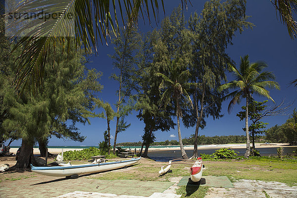 Outrigger-Kanus und Kokosnusspalmen am Anahola Beach; Anahola  Kauai  Hawaii  Vereinigte Staaten von Amerika