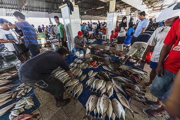 Fischhändler auf dem Paotere-Fischmarkt  Makassar (Ujung Pandang)  Südsulawesi  Indonesien