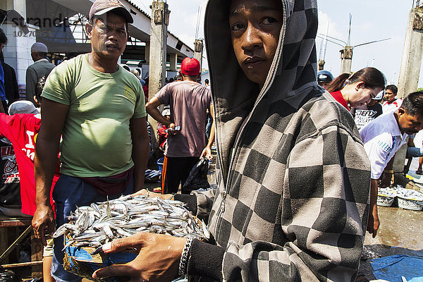 Mann hält einen Eimer mit Fisch auf dem Paotere-Fischmarkt  Makassar (Ujung Pandang)  Süd-Sulawesi  Indonesien