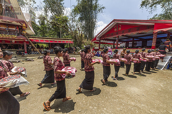 Frauen in einem formellen Trauerzug  genannt MaÆpassa Tedong  an einem Rante  dem zeremoniellen Ort für ein Torajan-Begräbnis  in Sereale  Toraja-Land  Süd-Sulawesi  Indonesien