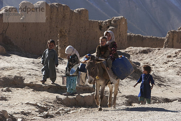 Junge und Mädchen auf einem Esel in Bamiyan  Provinz Bamian  Afghanistan