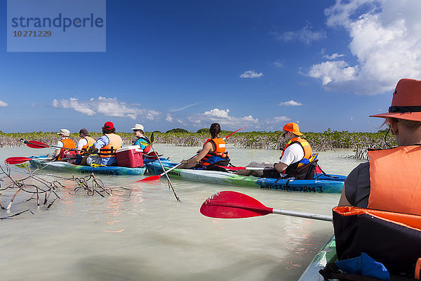 Gruppe von Doppelkajakfahrern schwimmt in der Magrove-Lagune mit blauem Himmel und Wolken; Tulum  Quintana Roo  Mexiko