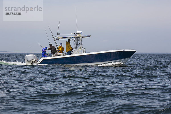 Jagd auf Thunfisch an der Atlantikküste; Massachusetts  Vereinigte Staaten von Amerika