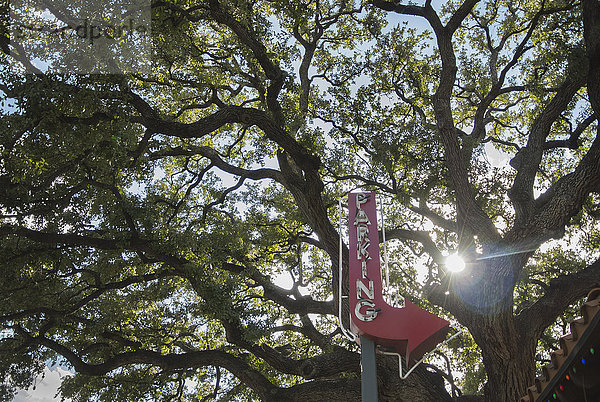 Ein alter Baum ragt über ein altes  rotes Parkplatzschild neben einem Parkplatz; Austin  Texas  Vereinigte Staaten von Amerika