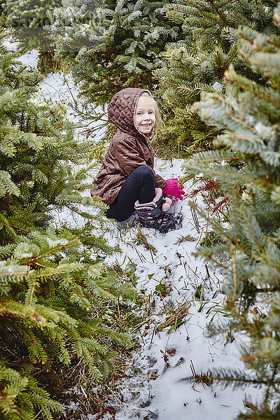 Junges Mädchen inmitten von Bäumen auf einer Weihnachtsbaumfarm; Stoney Creek  Ontario  Kanada