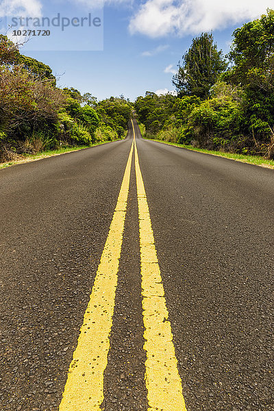 Straße mit doppelter gelber Linie  Waimea Canyon; Kalalau  Kauai  Hawaii  Vereinigte Staaten von Amerika'.