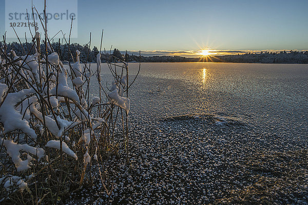 Frost und leichter Schnee auf einem zugefrorenen See bei Sonnenuntergang; Ontario  Kanada'.
