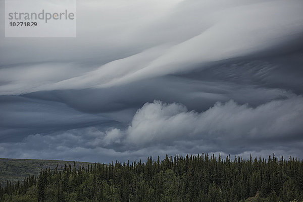 Linsenförmige Wolken bilden sich über den Flanken des Crow Mountain; Old Crow  Yukon  Kanada'.