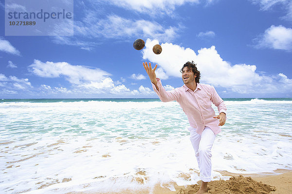 Mann wirft Kokosnüsse am Strand; Kealia  Kauai  Hawaii  Vereinigte Staaten von Amerika'.