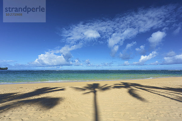 'Schatten von Palmen am Tunnels Beach; Kauai  Hawaii  Vereinigte Staaten von Amerika'.