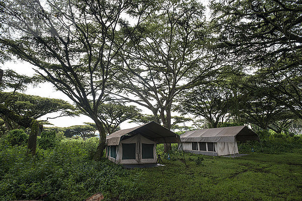Safari-Camp Zelte am Rande des Ngorongoro-Kraters; Tansania'.