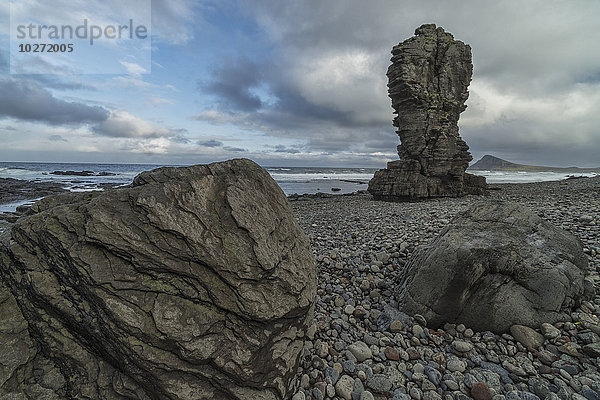 Meeresstapel erheben sich über die Küstenlinie entlang der Strandir-Küste in den Westfjorden; Island .