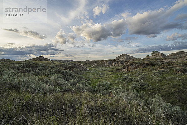 Sonnenuntergang über dem Grasland im Dinosaur Provincial Park; Alberta  Kanada'.