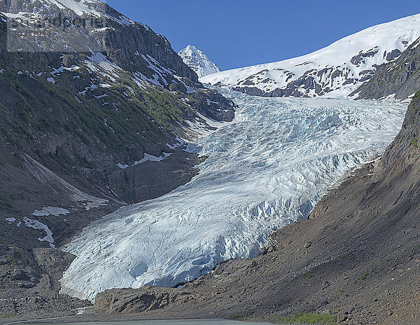 Bärengletscher  in der Nähe von Stewart Glacier; British Columbia  Kanada'.