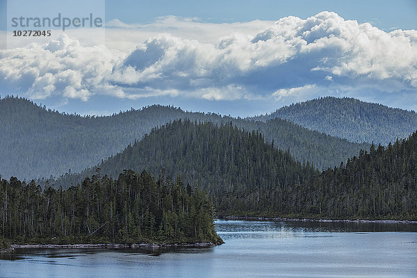 Die Bäume auf den Inseln und Hügeln um Prince Rupert; British Columbia  Kanada'.