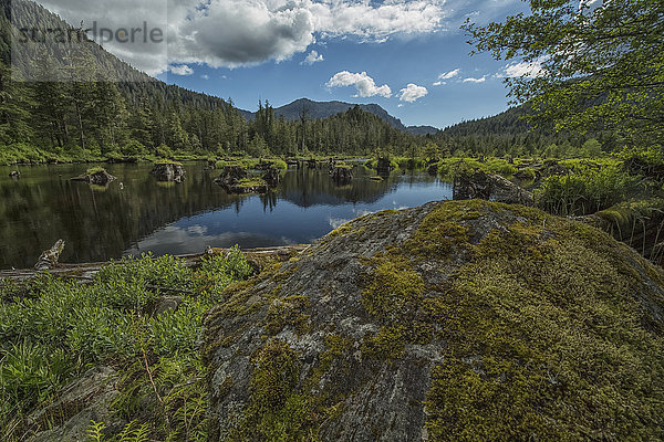 Unbenannter Teich außerhalb von Prince Rupert; British Columbia  Kanada .