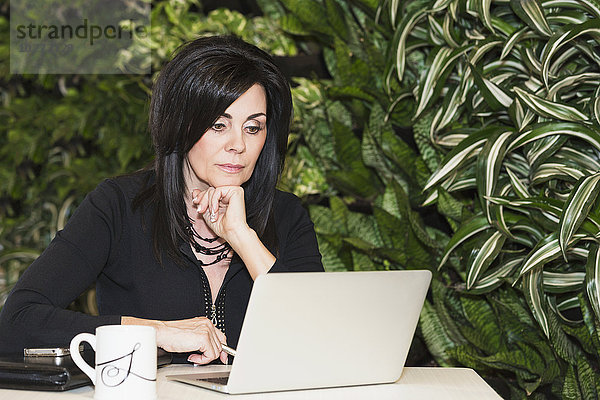 Professionelle Geschäftsfrau arbeitet an ihrem Laptop in der Cafeteria; Edmonton  Alberta  Kanada'.