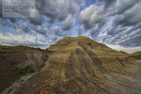 Die Erosion führt zu interessanten Formationen und Hoodoos im Dinosaur Provincial Park; Alberta  Kanada'.