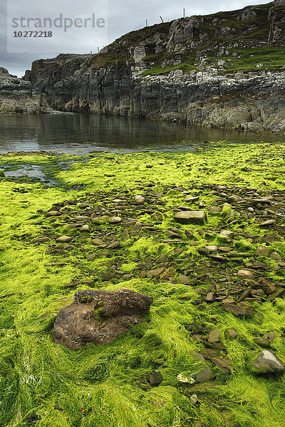 Bucht auf der Insel Inishturk  Wild Atlantic Way; Grafschaft Mayo  Irland'.