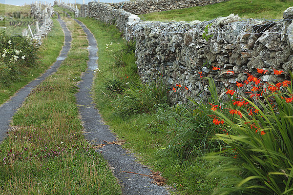 Straße und Steinmauer auf der Insel Inishturk  Wild Atlantic Way; Grafschaft Mayo  Irland