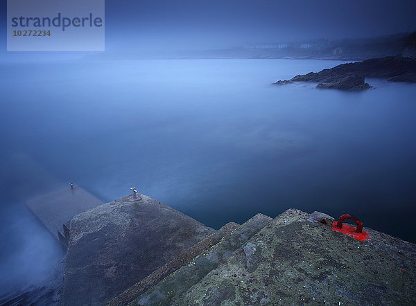 Neblige Küstenlinie um Roches Point im Hafen von Cork; Grafschaft Cork  Irland'.