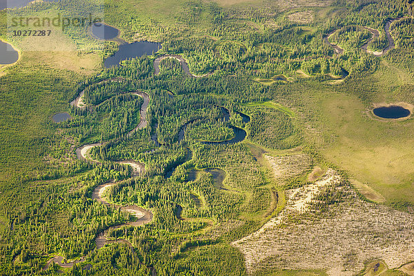 Luftaufnahme von grüner Tundra und einem schmalen  gewundenen Bach  Sanddünen und kleinen Seen  arktisches Alaska  Sommer