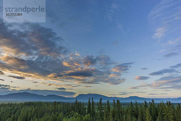 Die Sonne ist über den Baird Mountains  dem Wald und der grünen Tundra in der Nähe des Dorfes Shungnak untergegangen  Arctic Alaska  Sommer