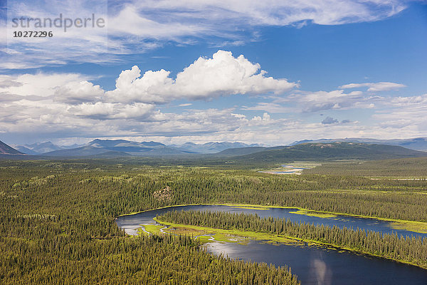 Blick auf die Baird Mountains und die mit Tundra bedeckten Hügel und Wälder  Kobuk River  Arctic Alaska  Sommer