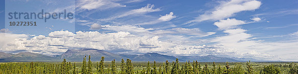 Panorama des Shungnak Mountain in den Cosmo Hills  Arktisches Alaska  Sommer
