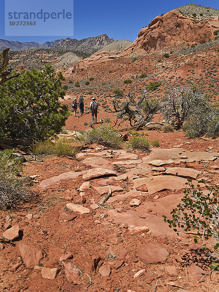Abenteurer bei der Erkundung eines Wüsten-Slot-Canyons; Hanksville  Utah  Vereinigte Staaten von Amerika'.