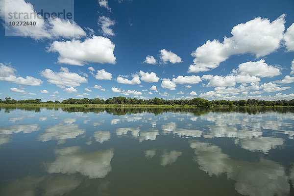 Spiegelungen im ruhigen Wasser des Shire River  Liwonde National Park; Malawi