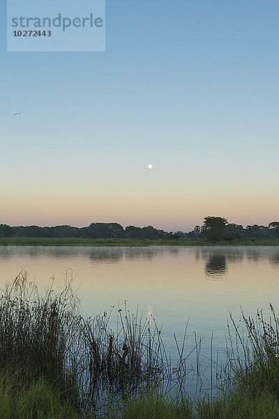 Monduntergang über dem Shire River in der Morgendämmerung  Liwonde National Park; Malawi'.
