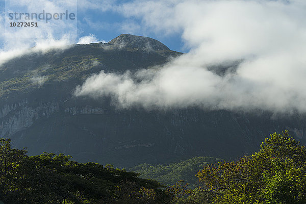 Blick durch den Wald auf den Kamm des Mount Mulanje; Malawi'.